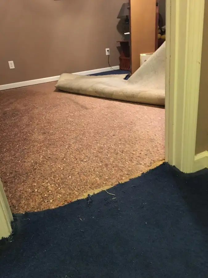 Carpet pad removal revealing water damage during Water Mitigation Services in Rochester Hills