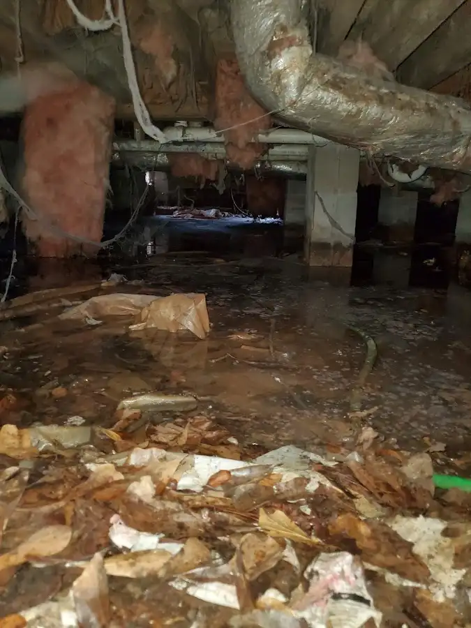 Crawl space flood assessment for Commercial Water Damage Restoration in Rochester Hills