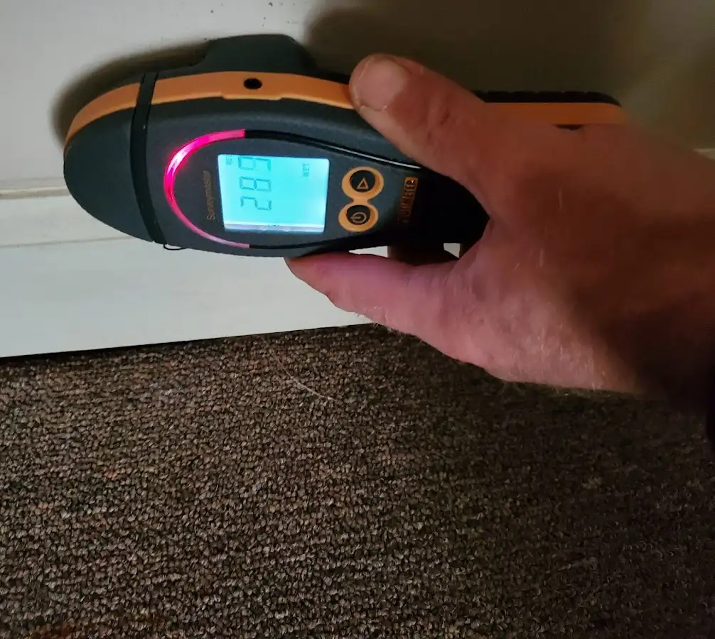 Moisture detection at baseboard during Sewage Cleanup & Sanitation in Rochester Hills